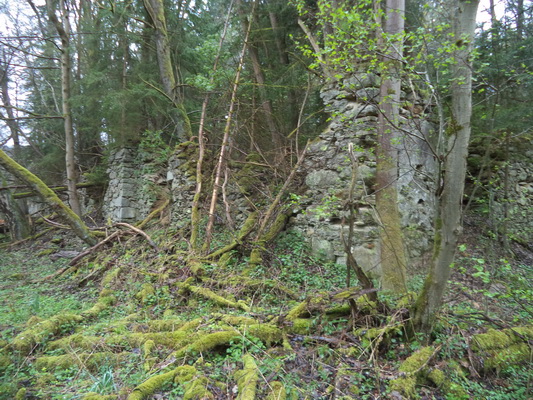 zbytky zámku Walddorf